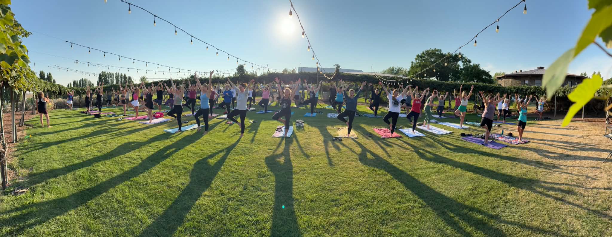 Sunrise yoga gathering at Cave B — dozens in tree pose on a lawn under string lights, vineyards behind.