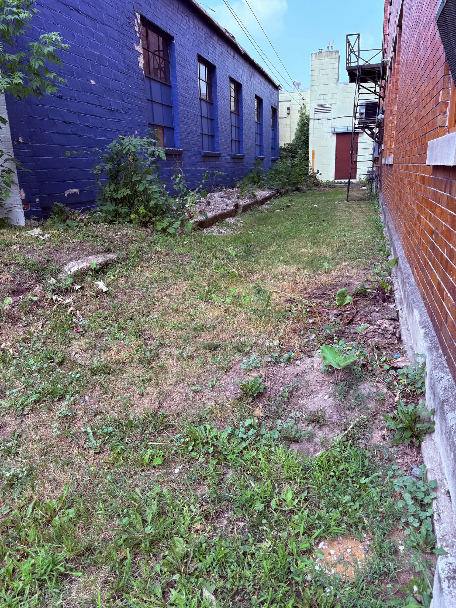A weedy downtown alley in Scottville, Michigan — the soil that needs tending.